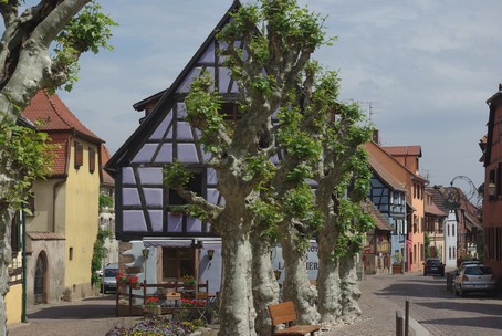 Bergheim - Village d'alsace - Photo A.GRASSLER